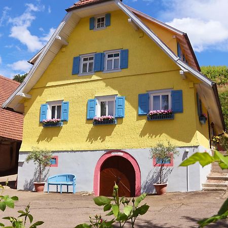 Apartament Winzerhof Maennle Oberkirch  Zewnętrze zdjęcie