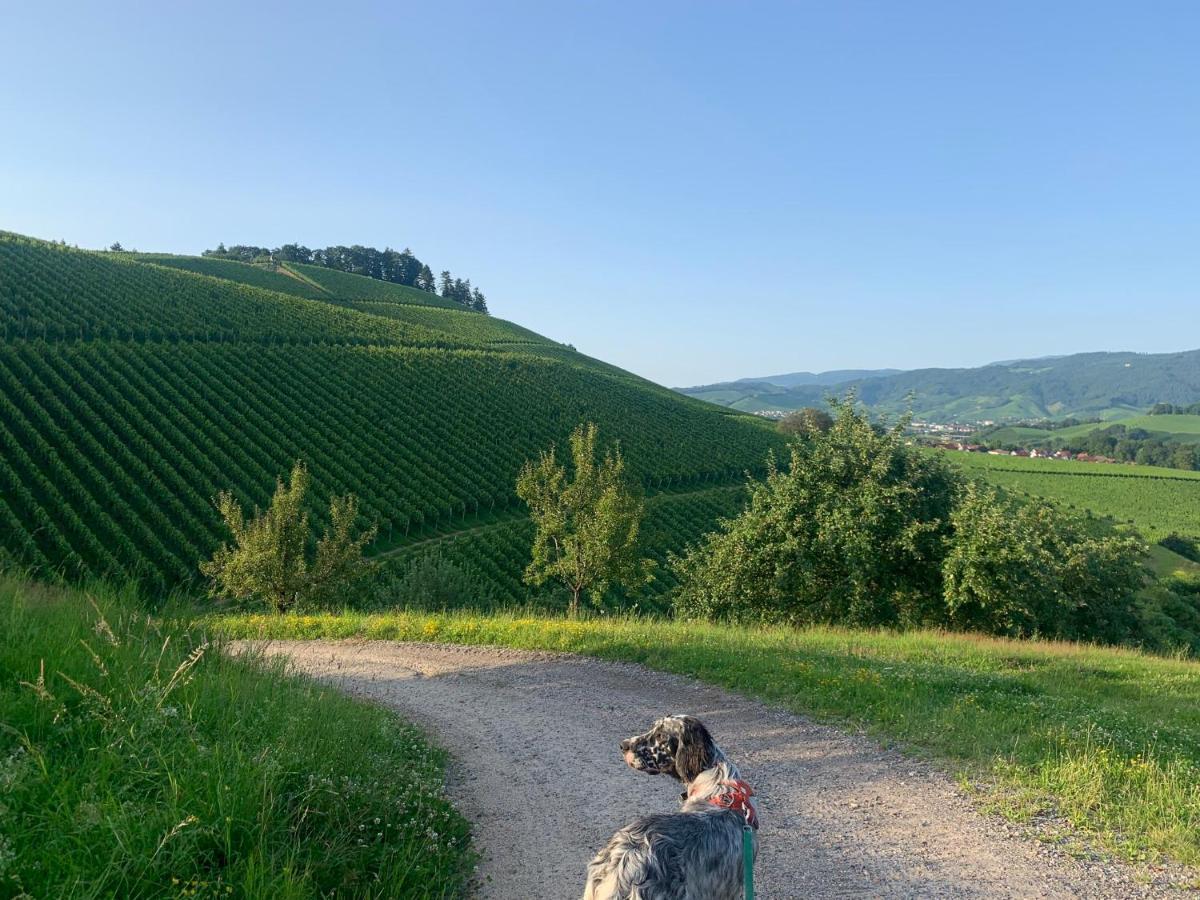 Apartament Winzerhof Maennle Oberkirch  Zewnętrze zdjęcie