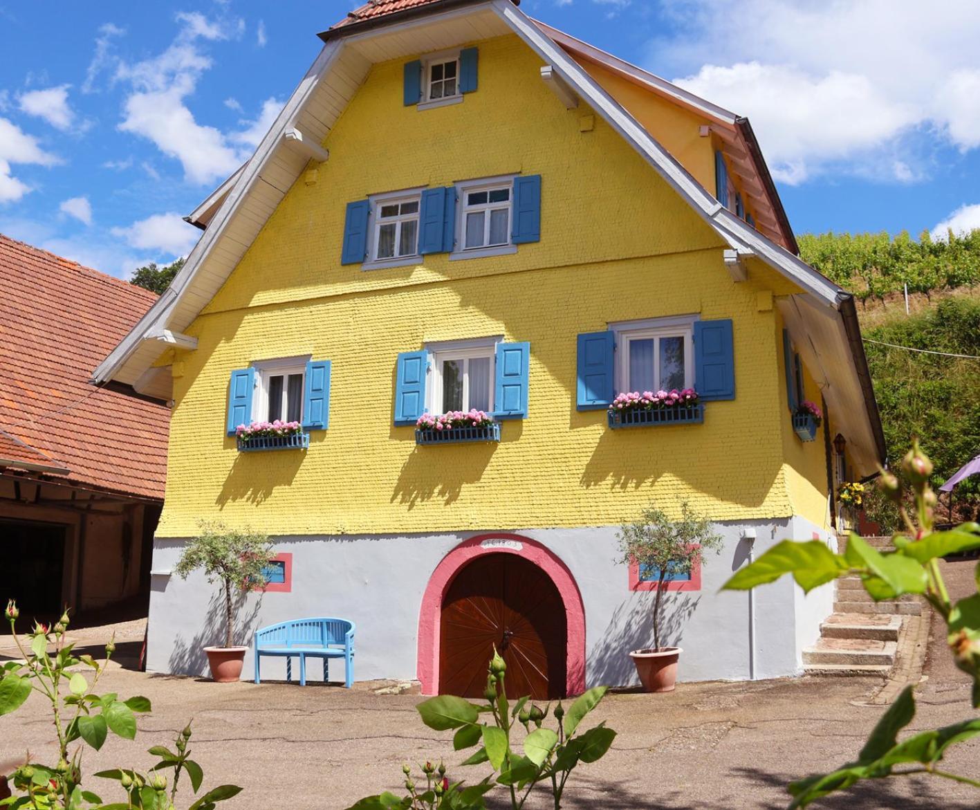 Apartament Winzerhof Maennle Oberkirch  Zewnętrze zdjęcie
